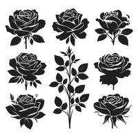 Assortment of rose shapes isolated on a white background vector