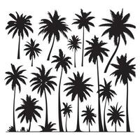 Set of palm tree contours set apart on a white surface vector
