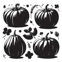 Assorted pumpkin shapes presented on a white background vector