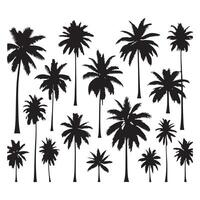 Ensemble of palm tree shapes presented on a white canvas vector