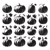Different pumpkin shapes spread out on a white background vector