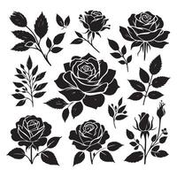 Assortment of rose figures set against a white canvas vector