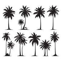 Array of palm tree shadows isolated on a white background vector