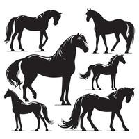 Batch of horse silhouettes positioned on a white setting vector
