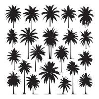 Series of palm tree shadows arranged on a blank white canvas vector