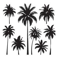 Group of palm tree profiles isolated against a bright white canvas vector