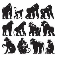 Silhouette display of ape creatures vector
