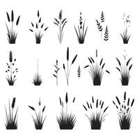 Grass outlines in silhouette form vector