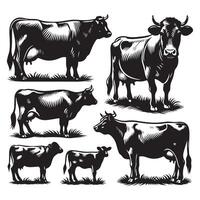 Ensemble of cow silhouettes on a solid white background vector
