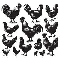 Bundle of chicken silhouettes vector