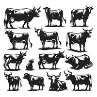 Collection of silhouetted cows over a white background vector