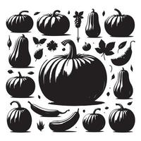 Collection of pumpkin shapes set on a white background vector
