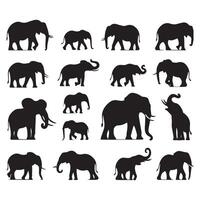 Group of silhouetted elephants standing out against white vector