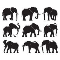 Group of elephant outlines placed against a pure white background vector