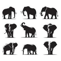 Series of elephant outlines displayed on a plain white background vector