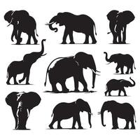 Assortment of elephant silhouettes set against a blank white background vector