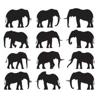 Set of elephant silhouettes isolated on a white background vector