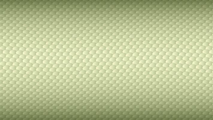 Horizontal scaly snake skin abstract background with with detailed scales, cover, site presentation in HD format. symbol of Chinese 2025 new year banner