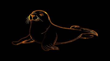 Neon frame effect, Sea Lion playful sea lion with flippers and a big smile on black background video