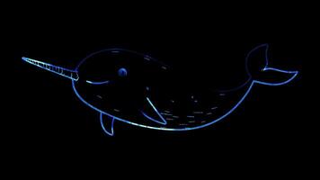 Neon frame effect, Narwhal narwhal with a long tusk and a friendly expression on black background video