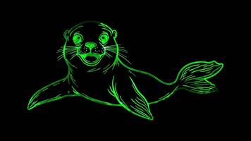 Neon frame effect, Sea Lion playful sea lion with flippers and a big smile on black background video