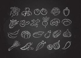 Chalked white line sketch vegetable icon set vector
