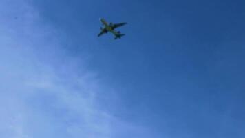 Airplane flies in the blue sky on Koh Samui Thailand. video