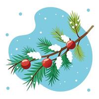 Frosty conifer branch. cones and christmas decorations on snowfall with copy space vector
