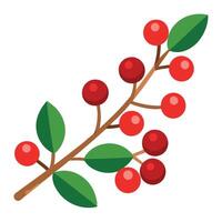 A branch with red berries on it vector