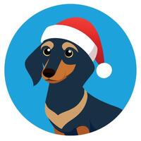 Cool looking dachshund dog wearing santa hat isolated on blurred bokeh background. vector