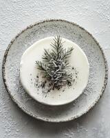 Winter dessert featuring a cream cake with evergreen garnish on a textured plate photo
