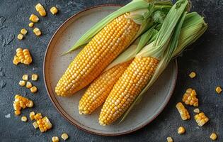 Freshly harvested corn cobs arranged on a dark plate with scattered kernels and green leaves photo