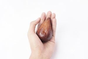 Snakefruit On White Background. Snake fruit path isolated on white. photo