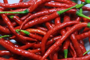 a bunch of fresh hot red a chilies photo