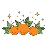 Christmas background with tangerines and fir tree branches vector