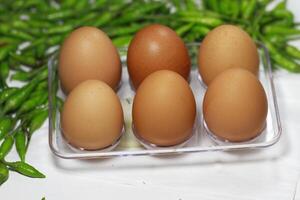 a bunch of fresh egg photo