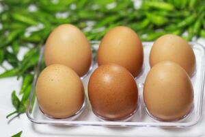 a bunch of fresh egg photo