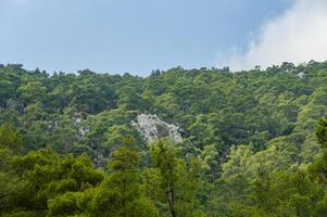 Lush green forest landscape with rocky outcrops under a cloudy sky in a tranquil natural setting photo