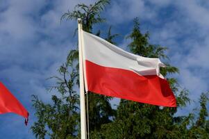 A vibrant Polish flag waving proudly against a backdrop of blue sky and lush greenery photo