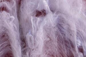 Gaziveren Cyprus -20.10.2024 Intricate details of soft, wispy fibers intertwining in delicate patterns during the golden hour light photo