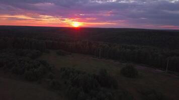 Beautiful view of the city taken from a bird's-eye view. Clip. Purple sky with the setting sun and green fields surrounded by trees. video