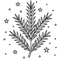 Merry Christmas background. Fir tree brunch Background. vector