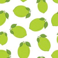Lime fruit icon seamless pattern background in flat style. Organic fruits illustration on isolated background. Vitamin C food sign business concept. vector