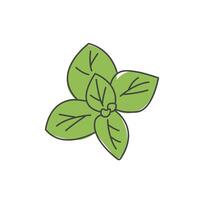 Oregano illustration. Herb, culinary spice, ingredient for meal. vector