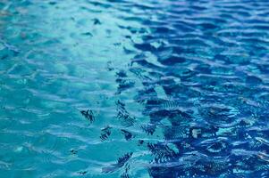 Captivating reflections on tranquil blue water as sunlight dances on the surface photo