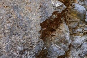 Close-up of rugged rock texture revealing layers and fossils in a natural setting during daylight hours photo