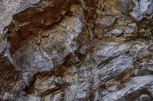 Intricate patterns of mineral formations on a rocky surface in a natural setting during daylight photo