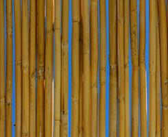 Tropical Bamboo Wall Creates a Warm, Inviting Atmosphere in a Serene Setting Under the Bright Blue Sky photo