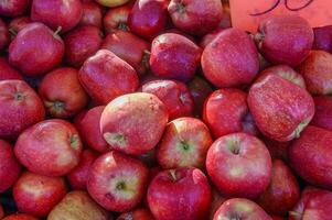 Fresh apples in crates at farmers market photo