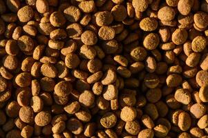 Solid cat food pellets suitable for a background photo